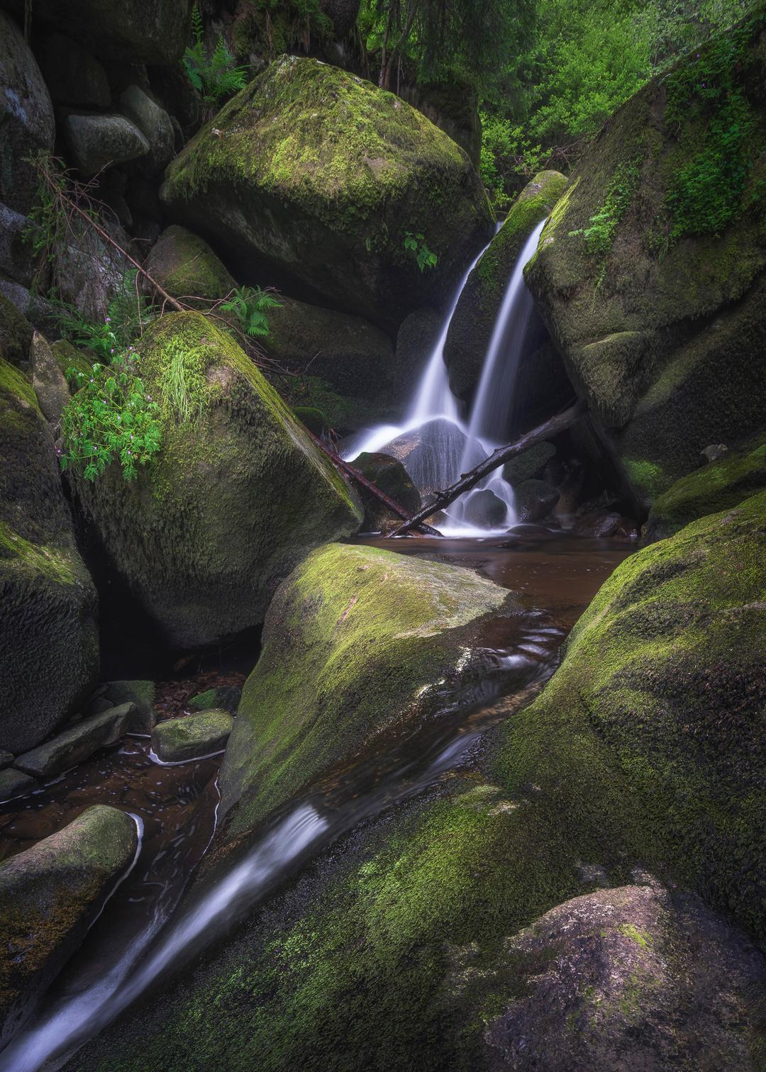 Black Forest Stream