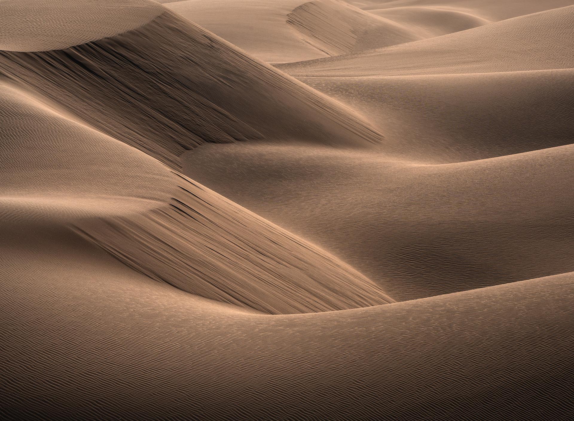 Bronze Desert