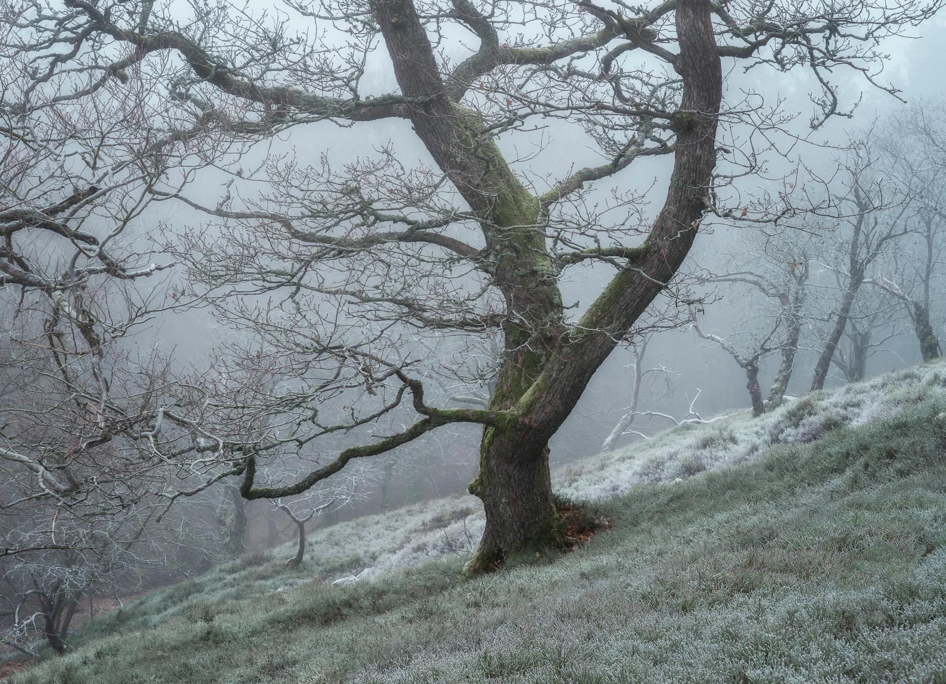 Frosty Curves