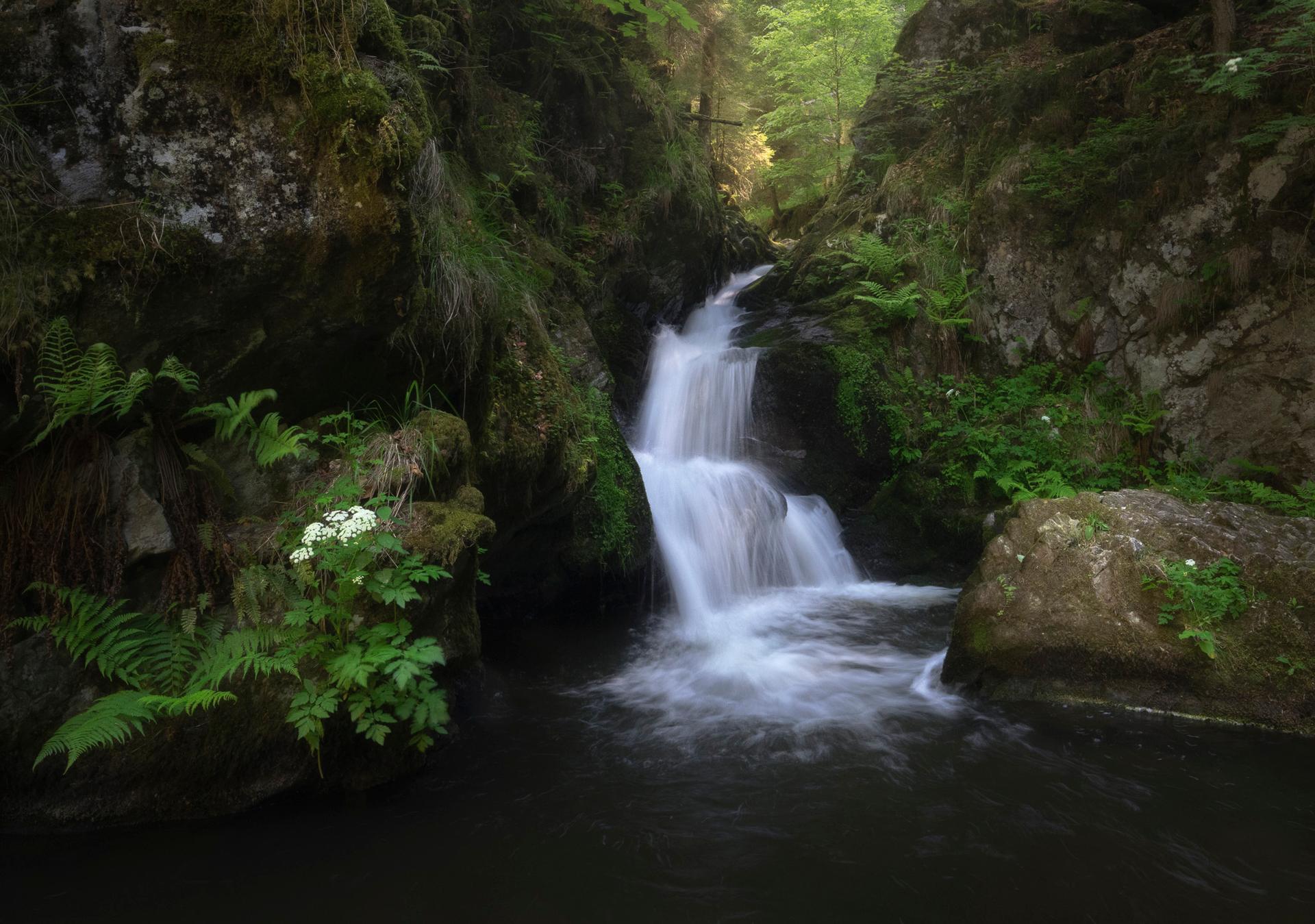 Ravenna Gorge