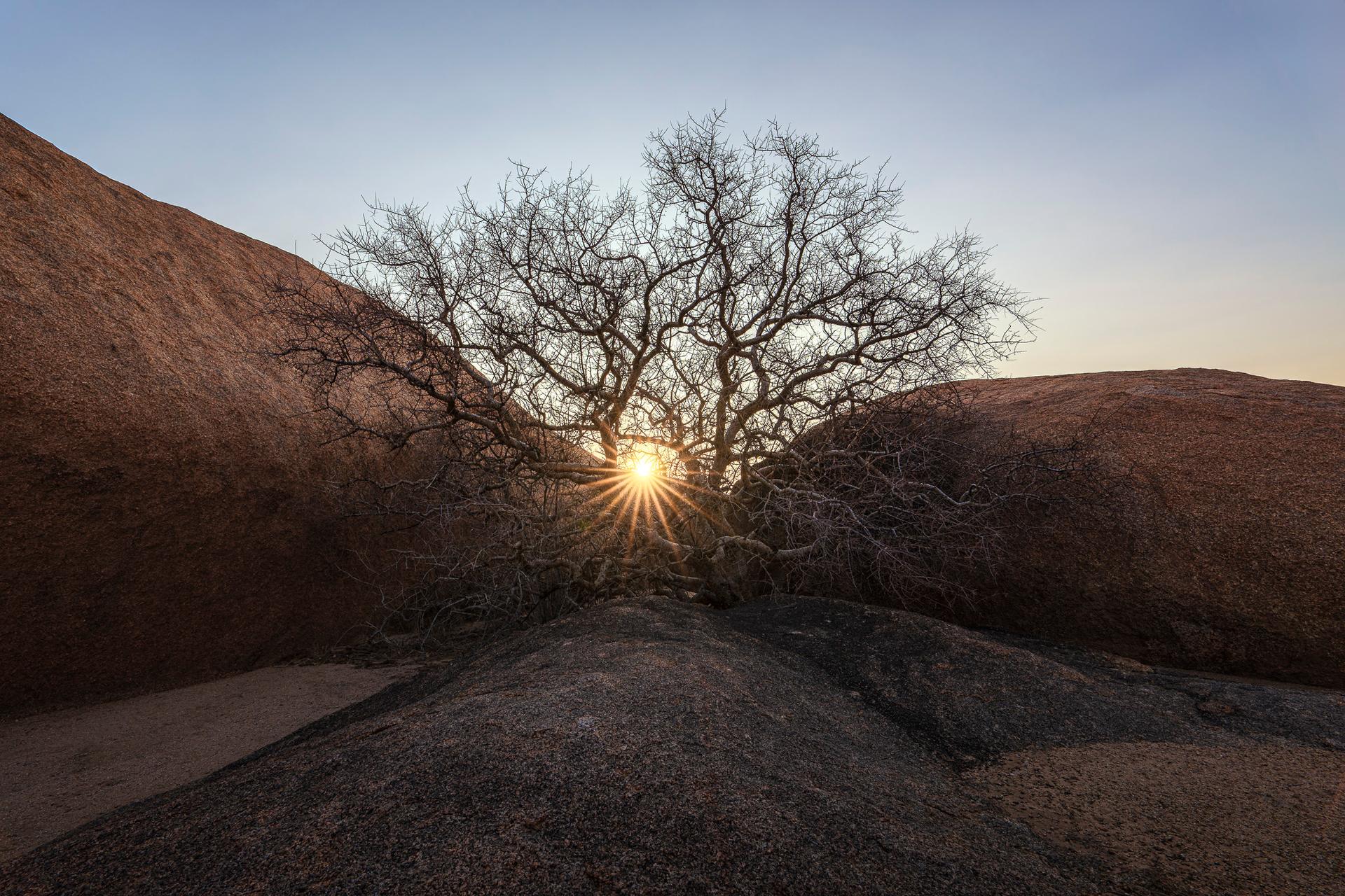 Throne of the Sun