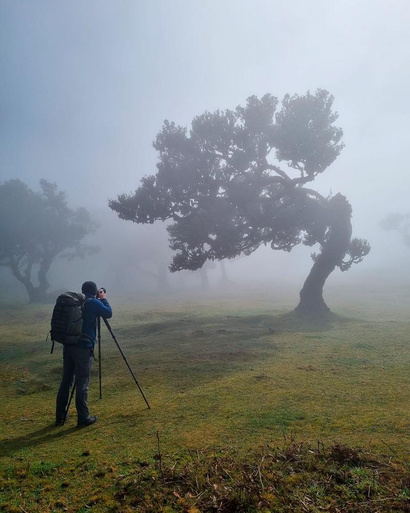 Image showing Jens photographing trees